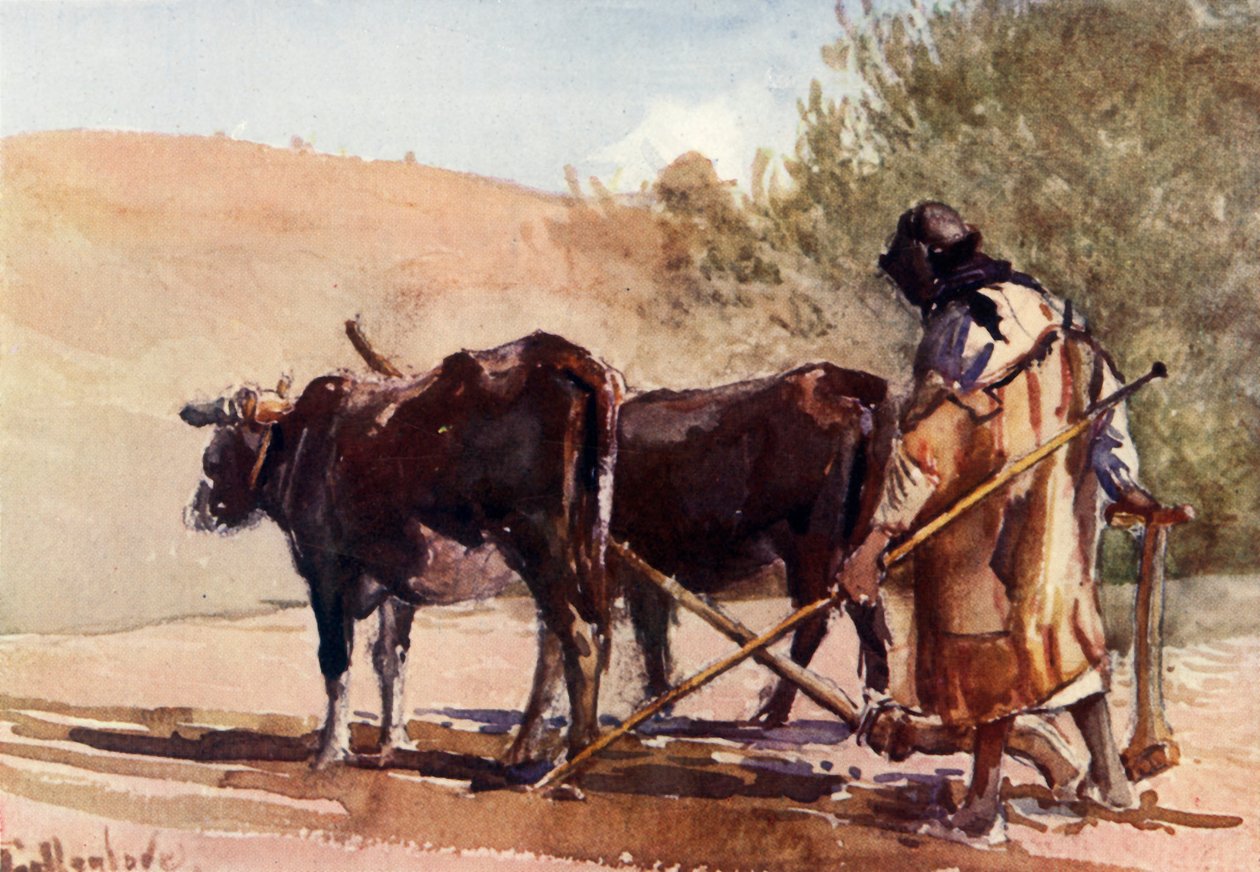 Kyntö Öljymäellä, 1902. tekijältä John Fulleylove