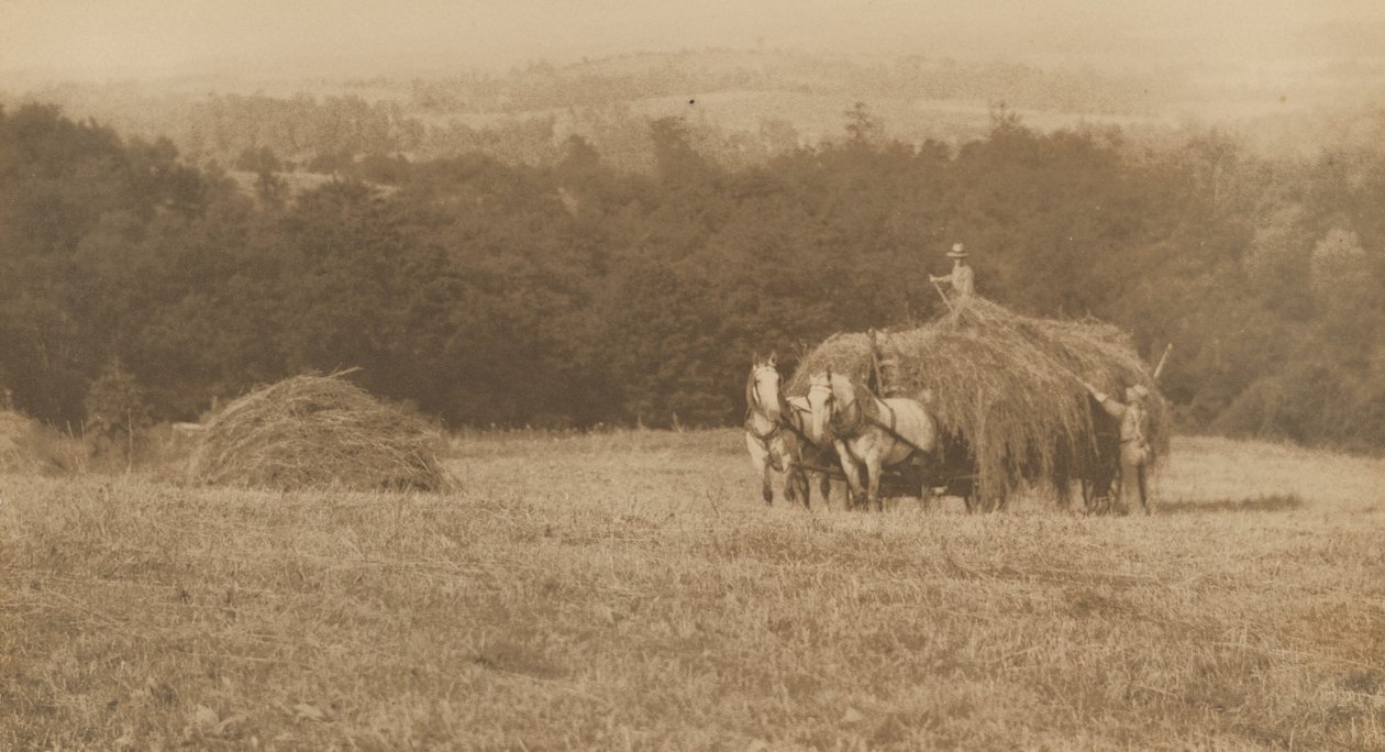 Heinän kuormaus,1890-1900 (kuva) tekijältä John G. Bullock
