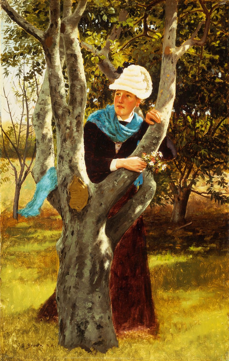 Puiden joukossa, tekijältä John George Brown