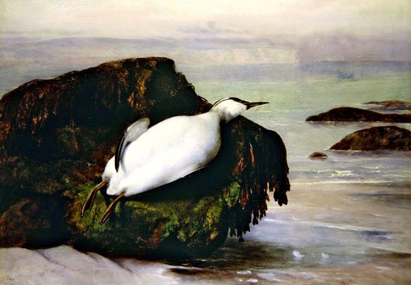 Shanklin tekijältä John George Naish