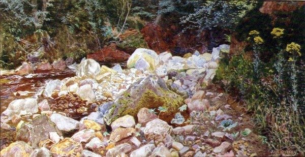 Rocky Stream (akvarelli paperille) tekijältä John George Sowerby