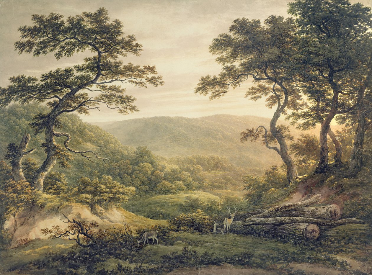 Needlewood Forest, Hampshire (akvarelli paperille) tekijältä John Glover