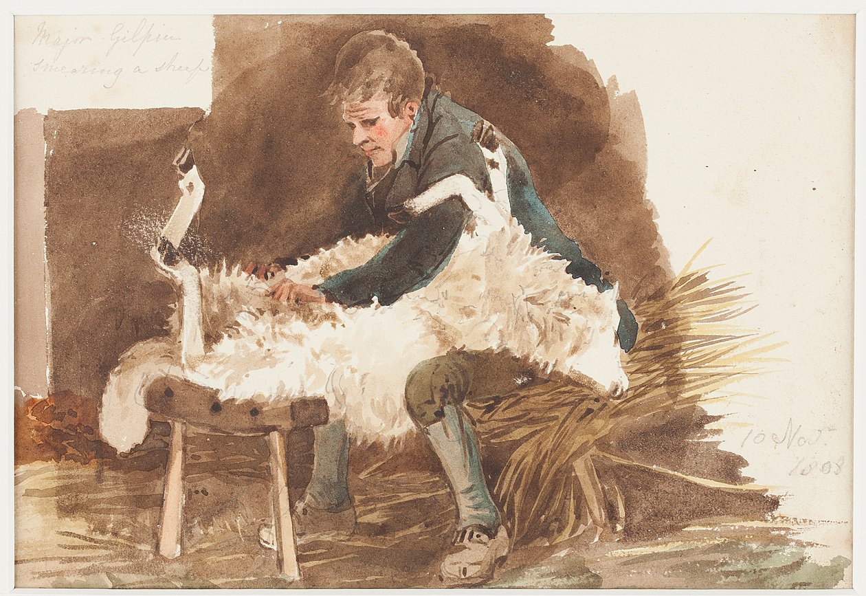 Leikkaavia lampaita, 1808 (wc paperilla) tekijältä John Harden
