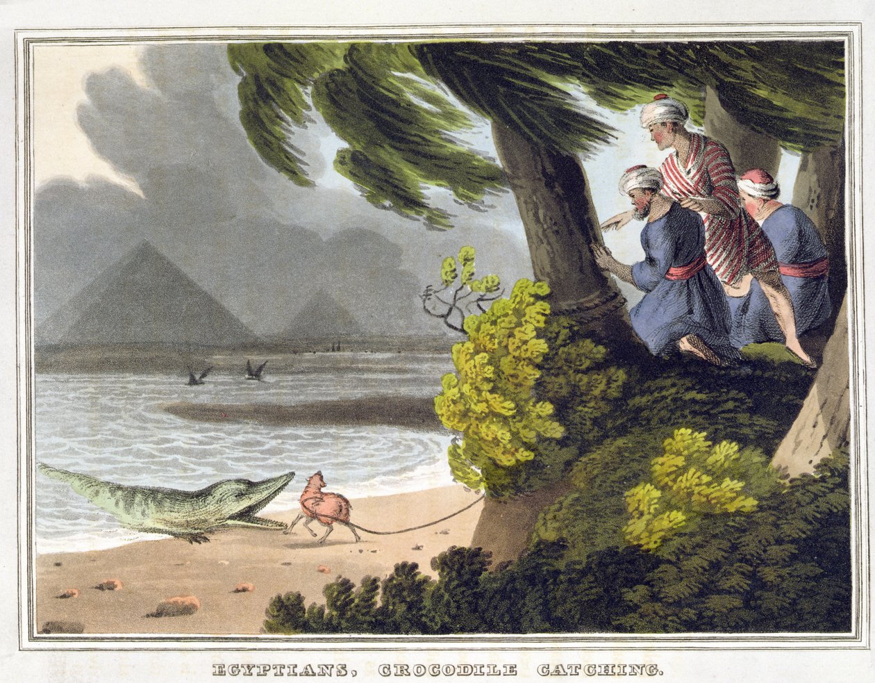 Egyptiläisten krokotiilien pyydystäminen, kaiverrus Matthew Dubourg (fl.1785-1820), julkaisija Edward Orme tekijältä John Heaviside (after) Clark