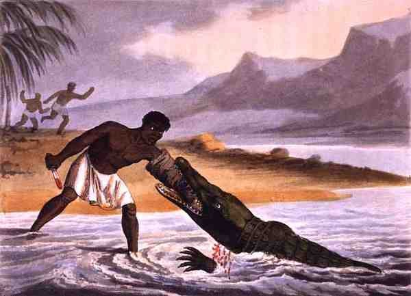 The African Crocodile Hunters, kaiverrus Matthew Dubourg (fl.1785-1820), julkaisija Edward Orme tekijältä John Heaviside (after) Clark