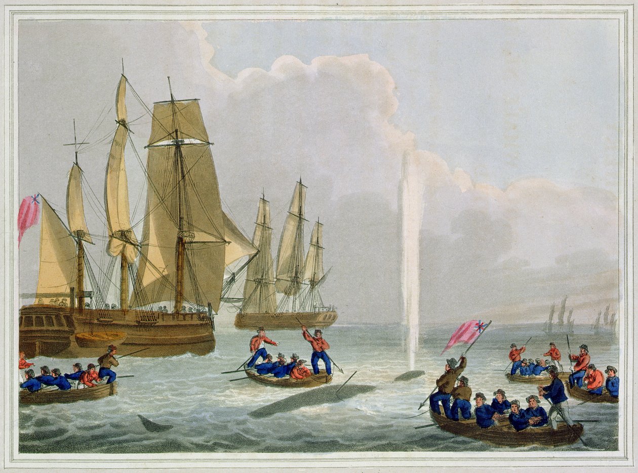 Boats Approaching a Whale, kaiverrus Matthew Dubourg (fl.1785-1820), julkaisija Edward Orme, 1813 tekijältä John Heaviside Clark