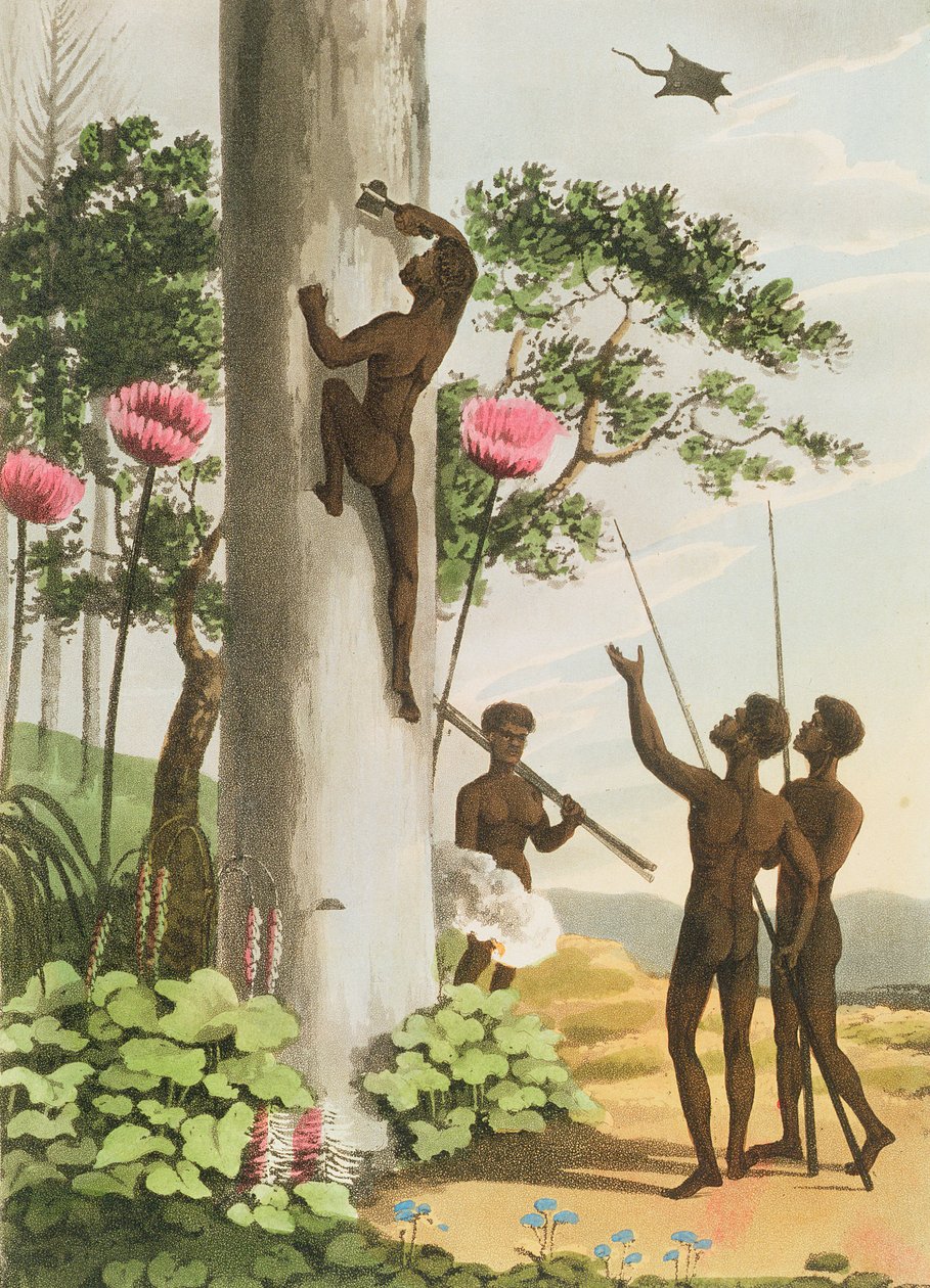 Kiipeilypuut, aboriginaalit Uudessa Etelä-Walesissa Matthew Dubourgin (fl.1813-1820) pubin kaivertama. 1813 tekijältä John Heaviside Clark