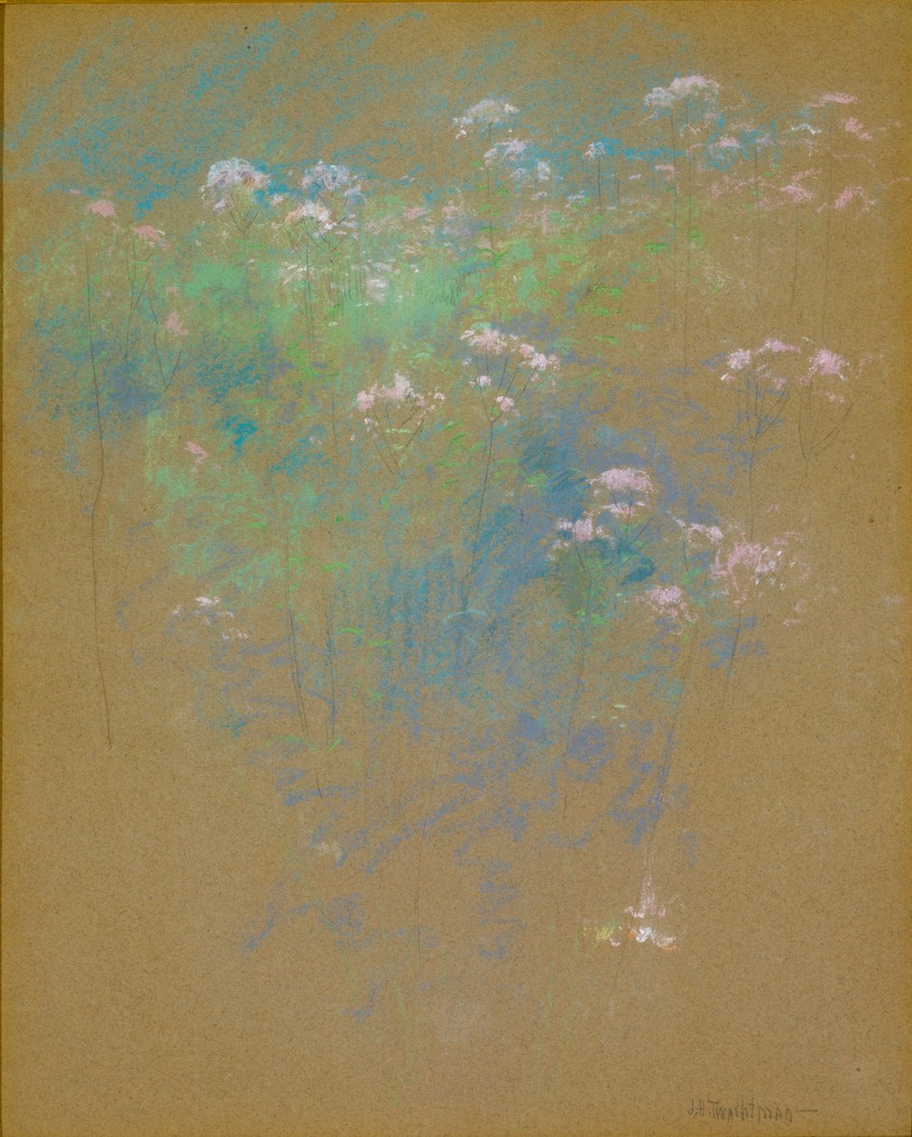 Kukat tekijältä John Henry Twachtman