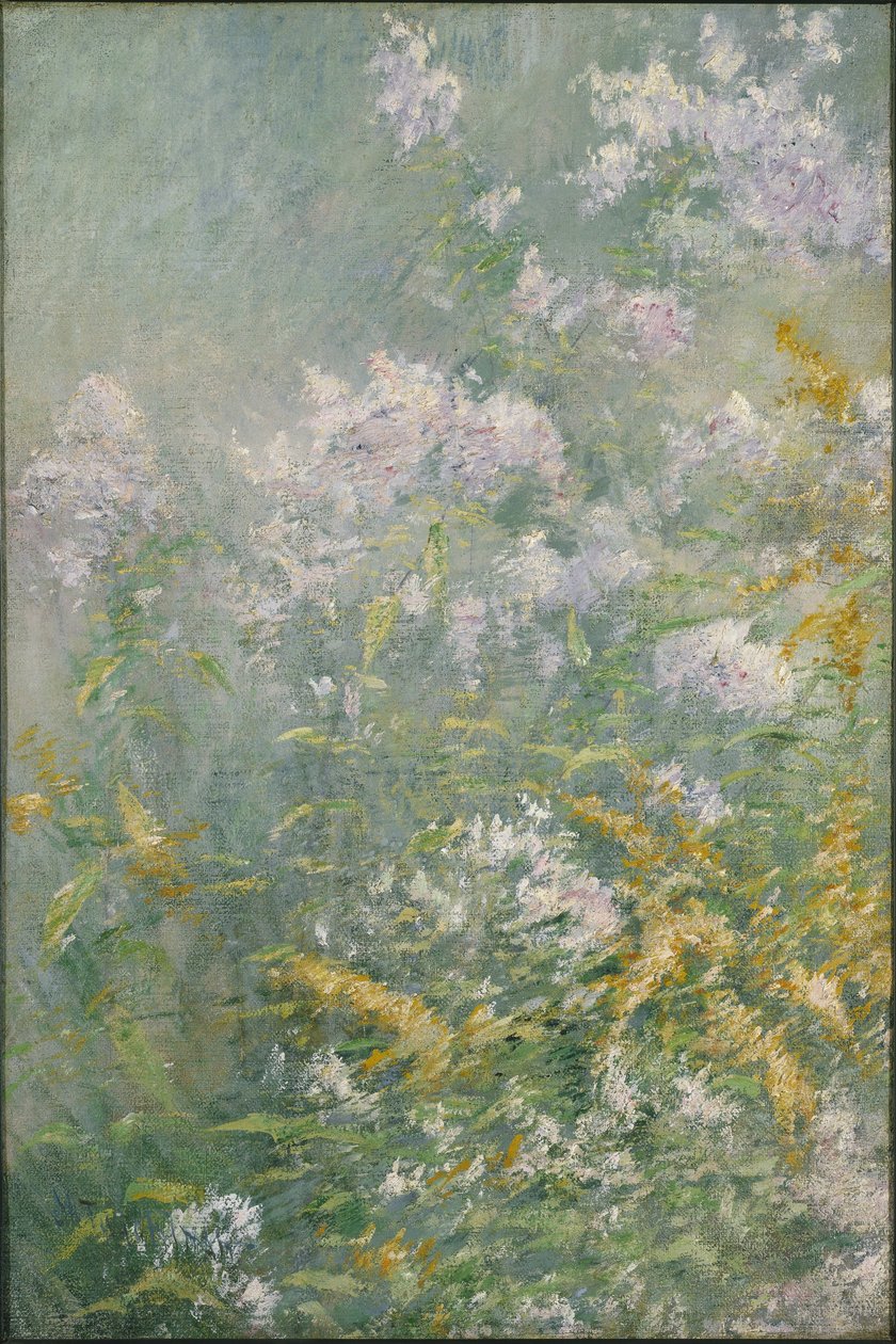 Niittykukat (Golden Rod ja Wild Aster) tekijältä John Henry Twachtman