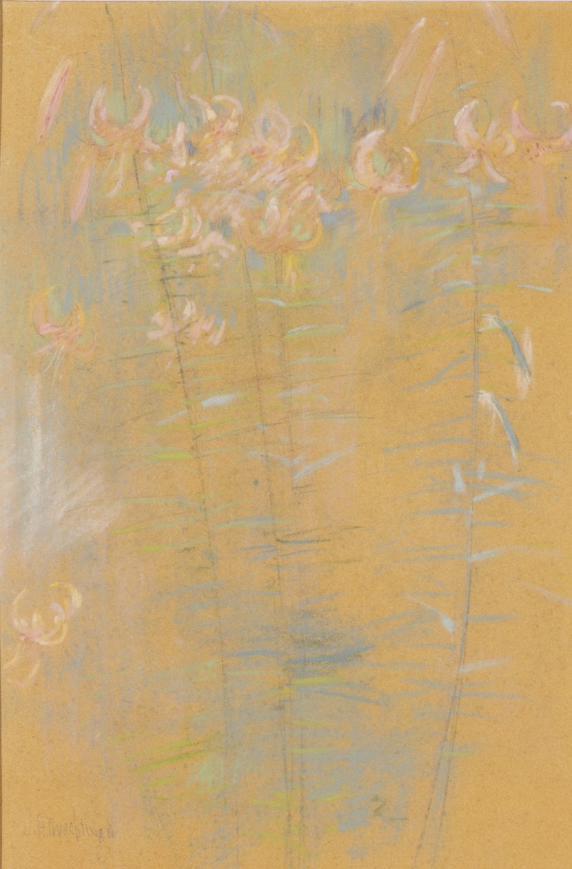 Tiikeri liljat tekijältä John Henry Twachtman