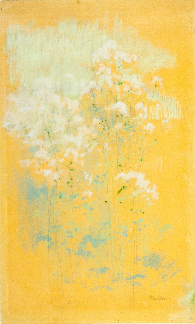 Luonnonvaraiset kukat tekijältä John Henry Twachtman