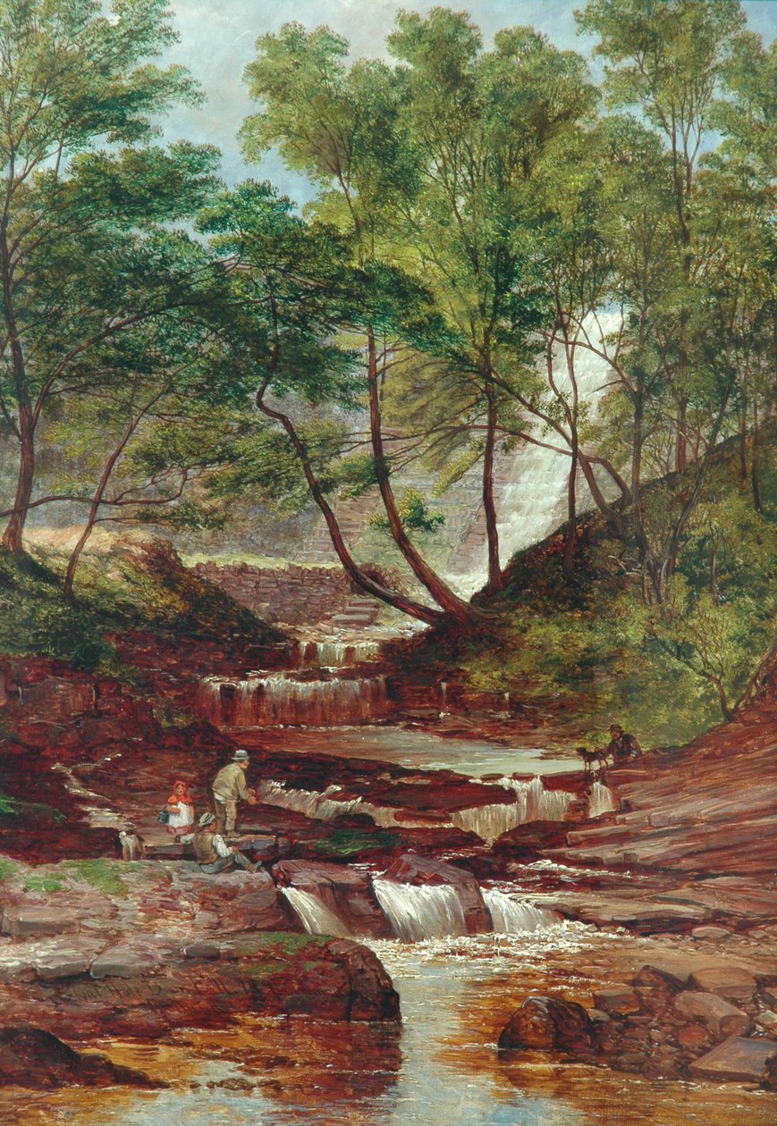 Cat Holes Dam Fall Todmordenissa, 1870 tekijältä John Holland