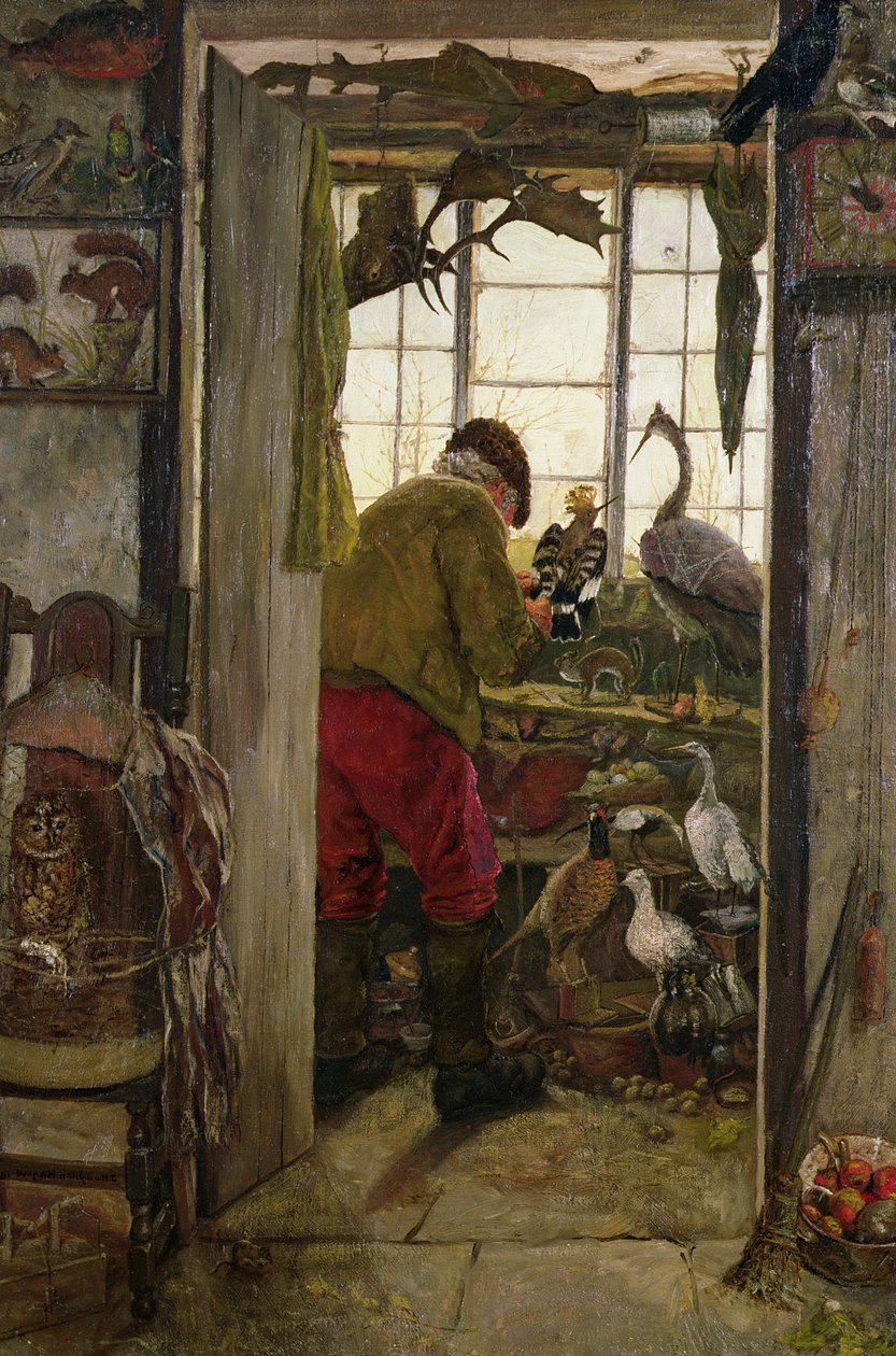 Chaddertonin taksidermisti tekijältä John Houghton Hague