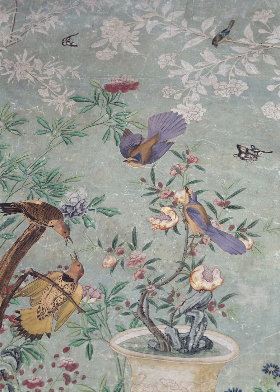 Keltainen välkyntä, leikattu "The Birds of America" -teoksesta ja liimattu käsin maalatulle kiinalaiselle tapetille (kollaasille) tekijältä John James Audubon