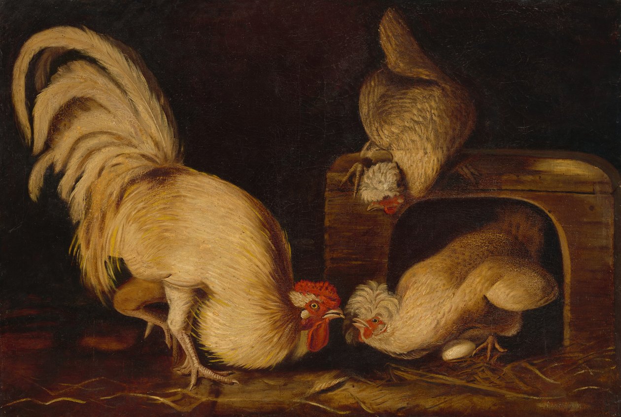 Farmyard Fowls, c. 1827. tekijältä John James Audubon