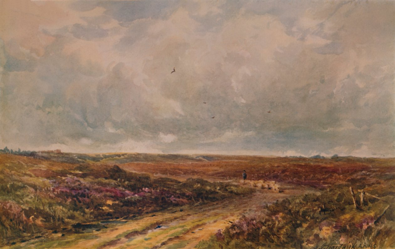 Myrskyinen päivä Surrey Commonissa, 1800-2000-luku, 1935 tekijältä John Jessop Hardwick