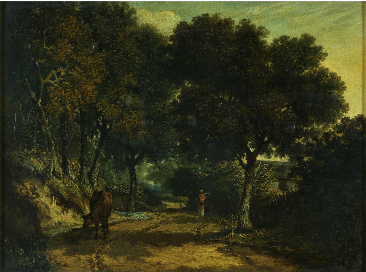 Varjoinen maantie tekijältä John Joseph Cotman