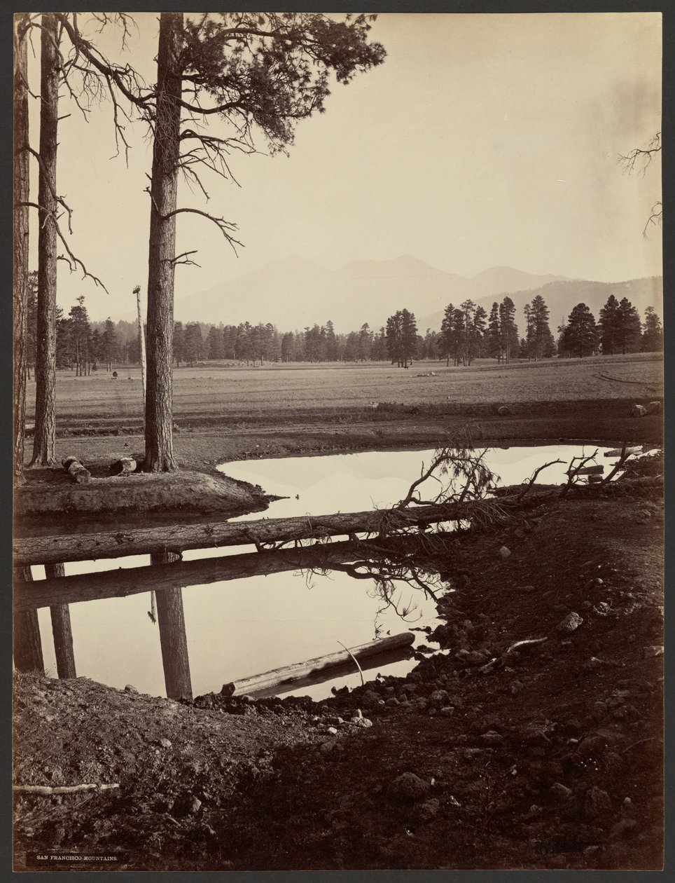 San Francisco Mountains, Arizona tekijältä John K. Hillers