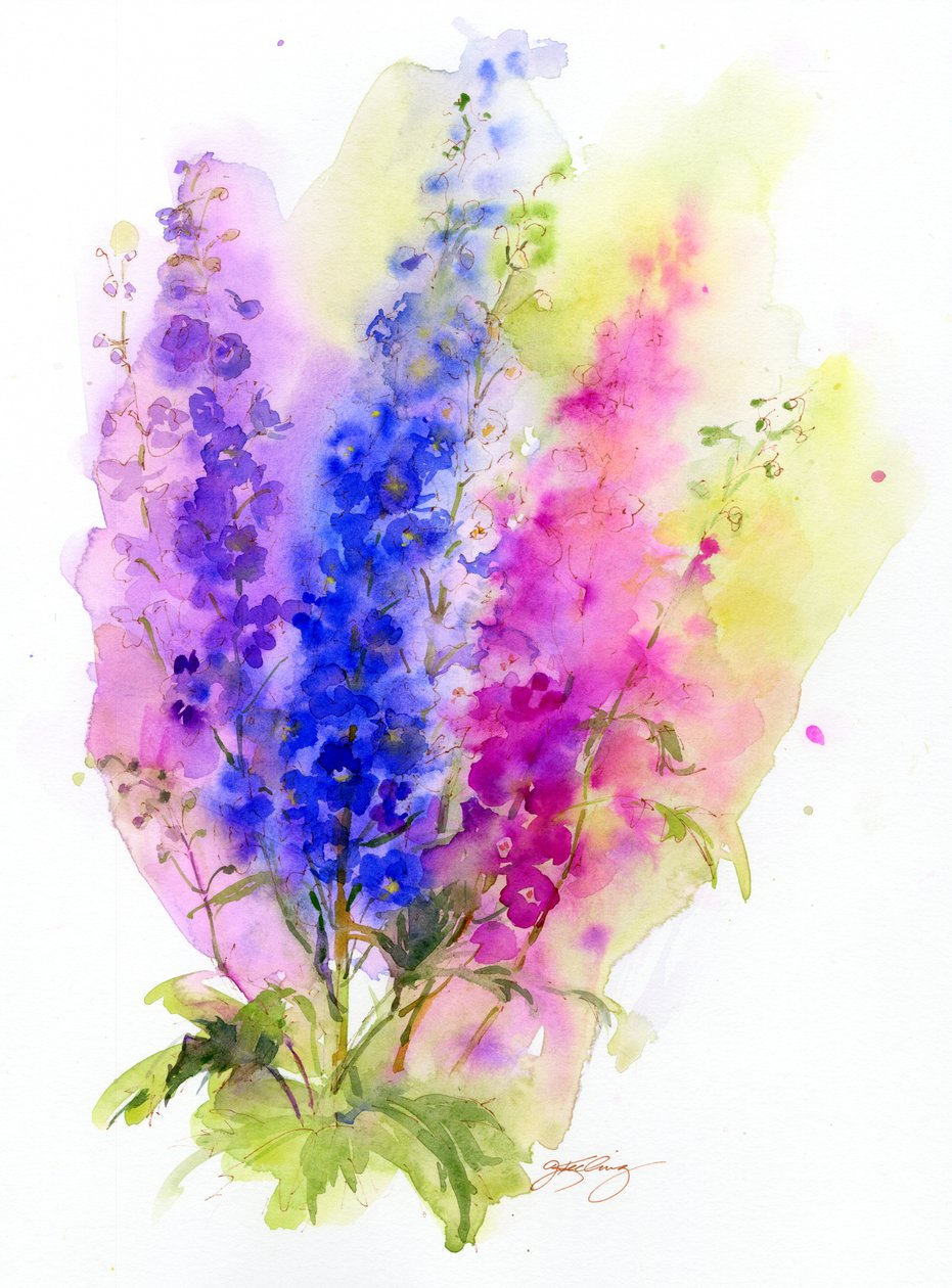 Delphinium, 2016, (akvarelli) tekijältä John Keeling