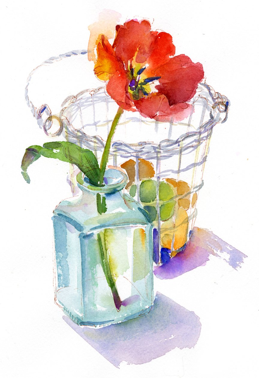 Tulppaani munakorilla, 2014, (akvarelli) tekijältä John Keeling