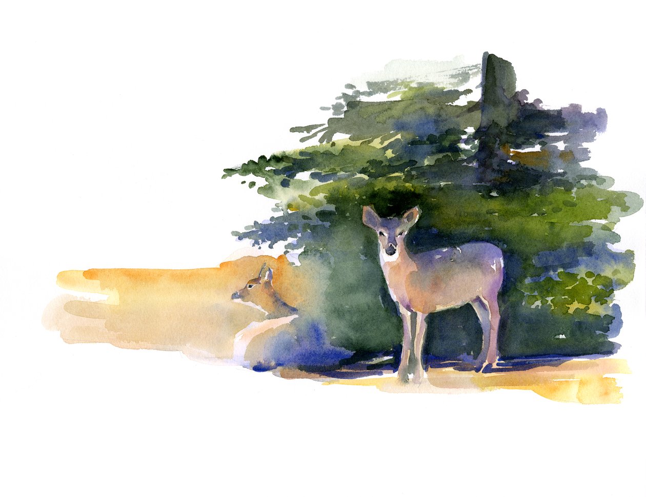 Two Deer, 2014, (akvarelli) tekijältä John Keeling