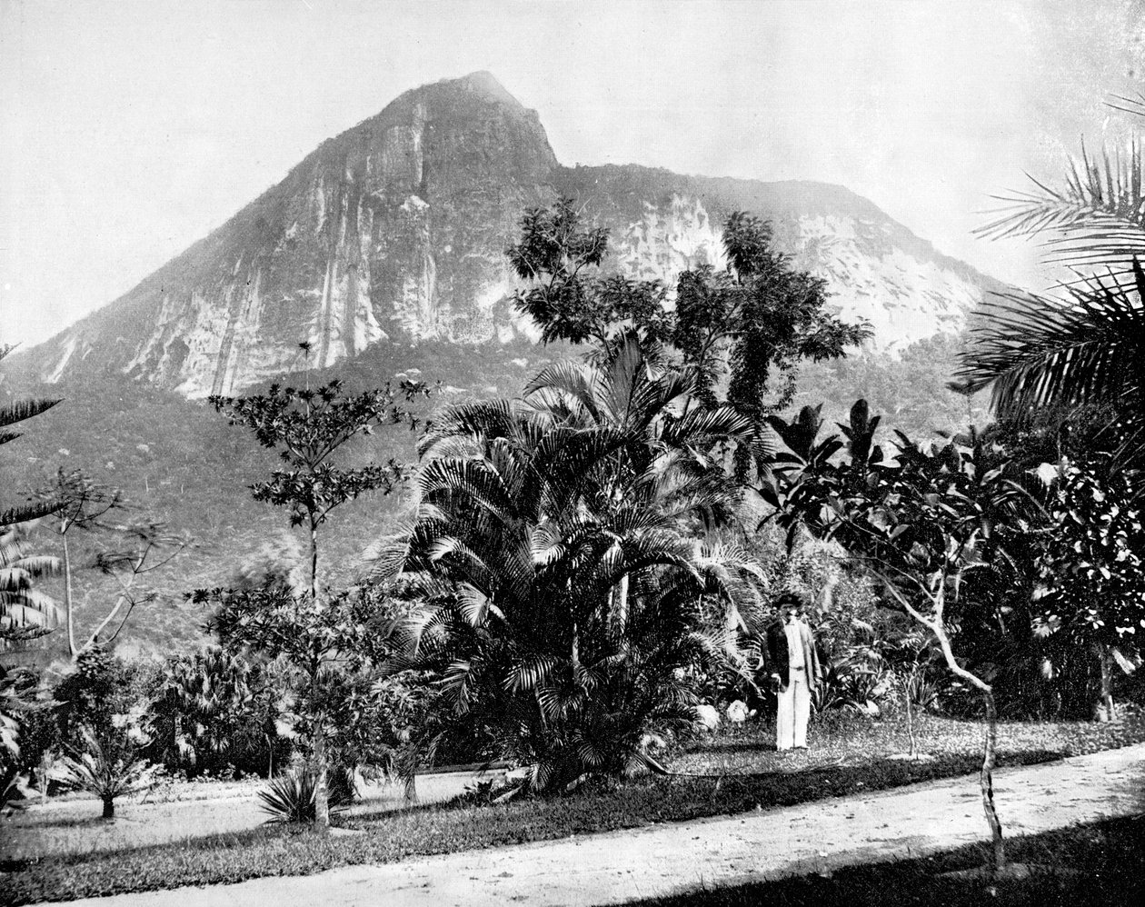 Kasvitieteellinen puutarha ja Mount Corcovado, Rio de Janeiro, Brasilia, 1893. tekijältä John L. Stoddard