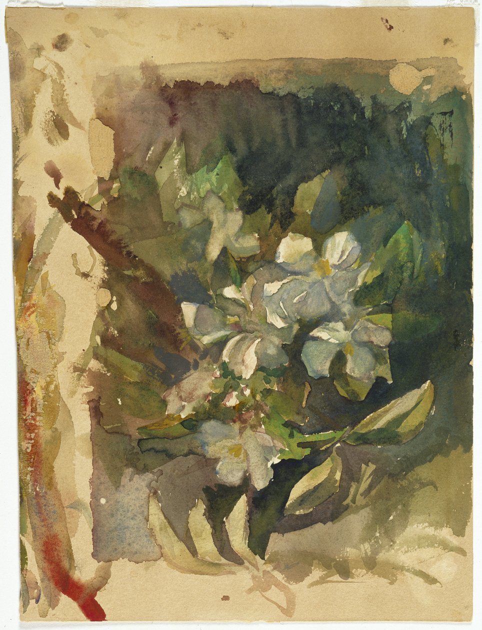 Apple Blossoms in Sunlight (wc paperilla) tekijältä John La Farge or Lafarge