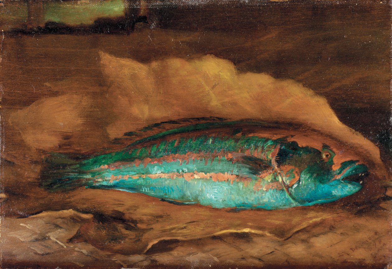 Papukaijakalojen tutkimus, Samoa, 1890 tekijältä John La Farge or Lafarge