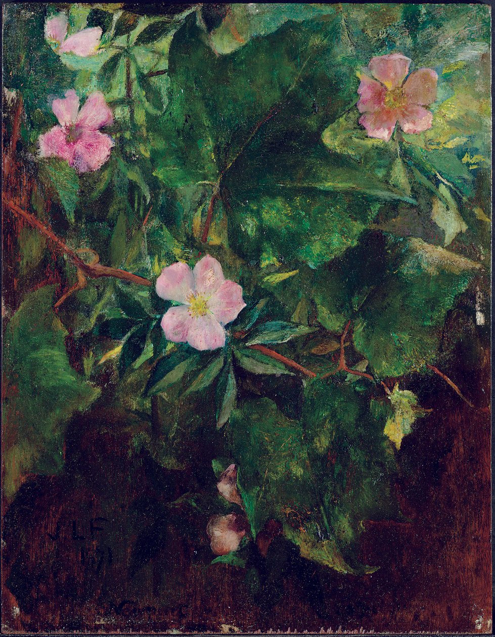 Villiruusu ja viiniköynnös, tutkimus luonnosta, 1871 tekijältä John La Farge or Lafarge