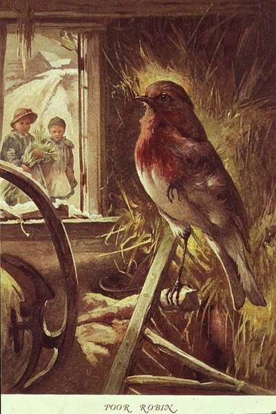 Köyhä Robin, kuvitus 