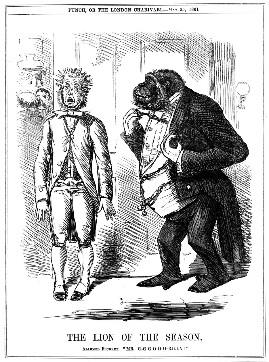 Kauden leijona, 1861 tekijältä John Leech