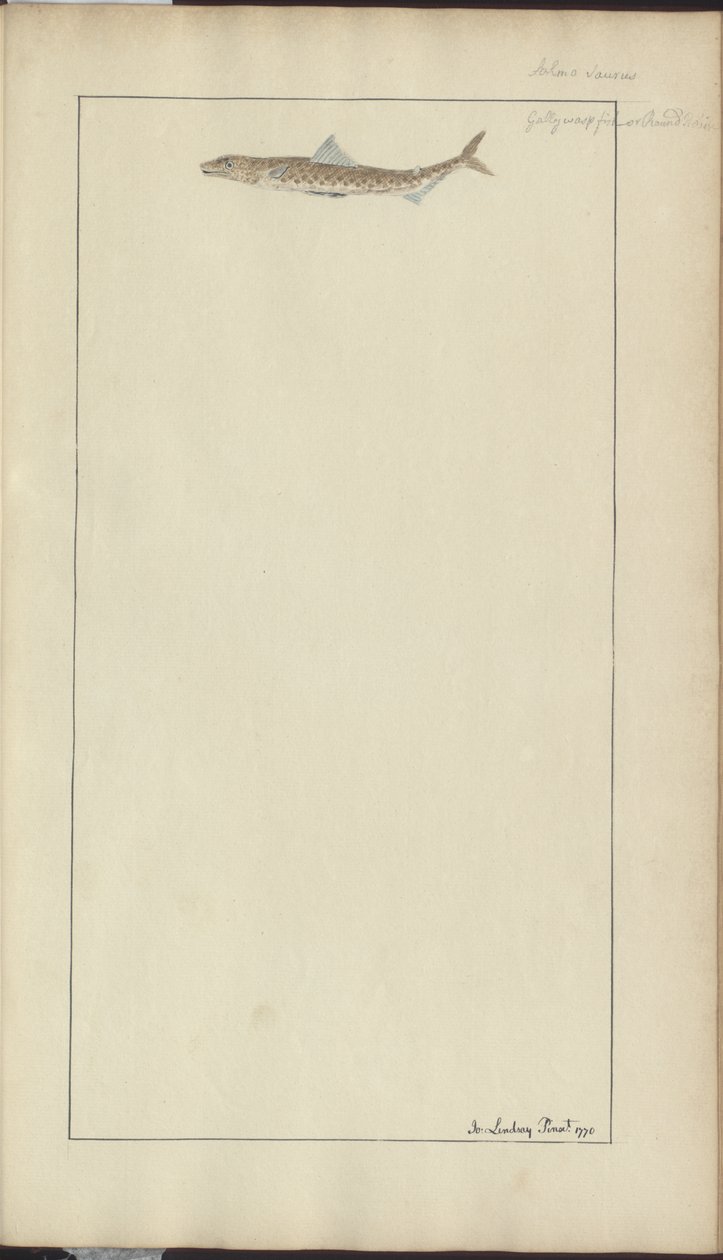 Lindsay Drawings Voi. VII, 23 tekijältä John Lindsay