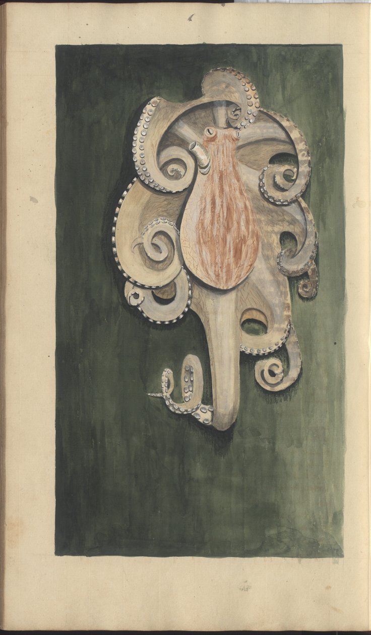 Lindsay Drawings Voi. VII, 28 tekijältä John Lindsay