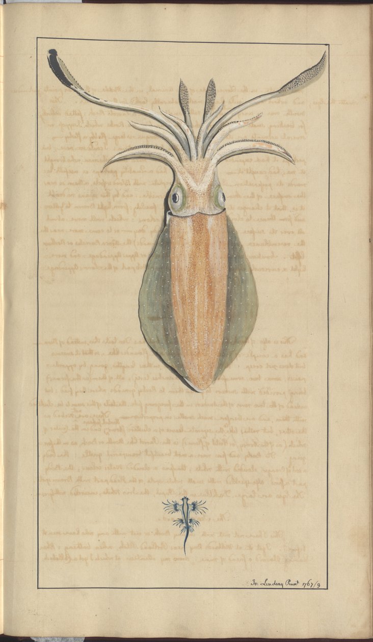 Lindsay Drawings Voi. VII, 29 tekijältä John Lindsay
