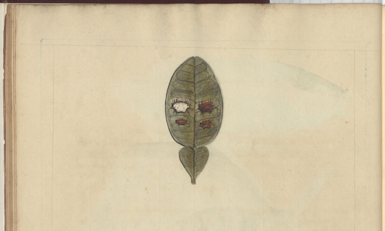Lindsay Drawings Voi. VII, 3 tekijältä John Lindsay