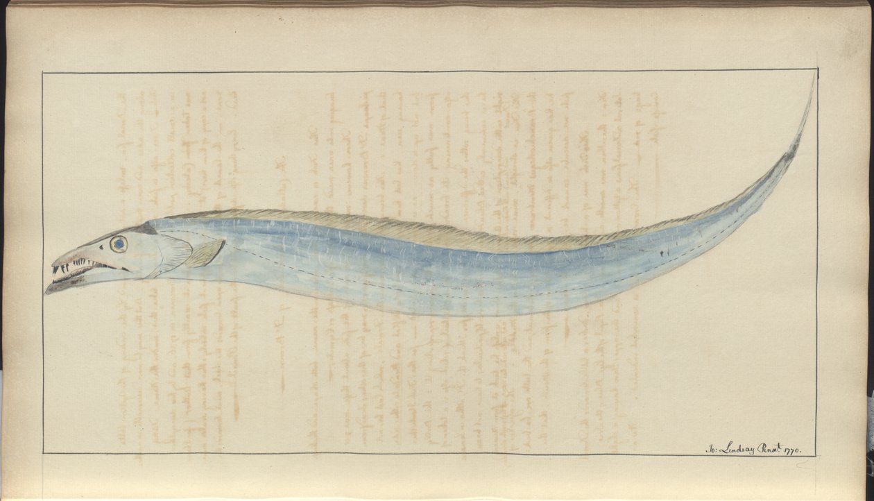 Lindsay Drawings Voi. VII, 9 tekijältä John Lindsay