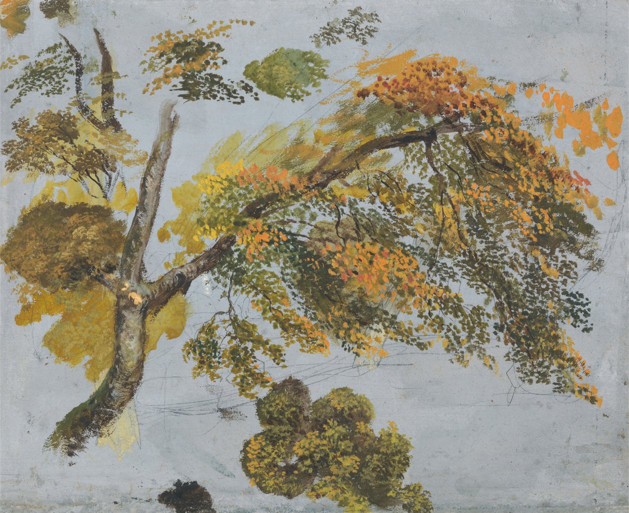 Baumstudie (Herbstlaub) tekijältä John Linnell