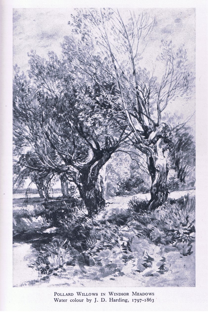 Collinsin julkaisemat puunhakkaajat Windsor Forestin laitamilla, Nature in Britain tekijältä John Linnell