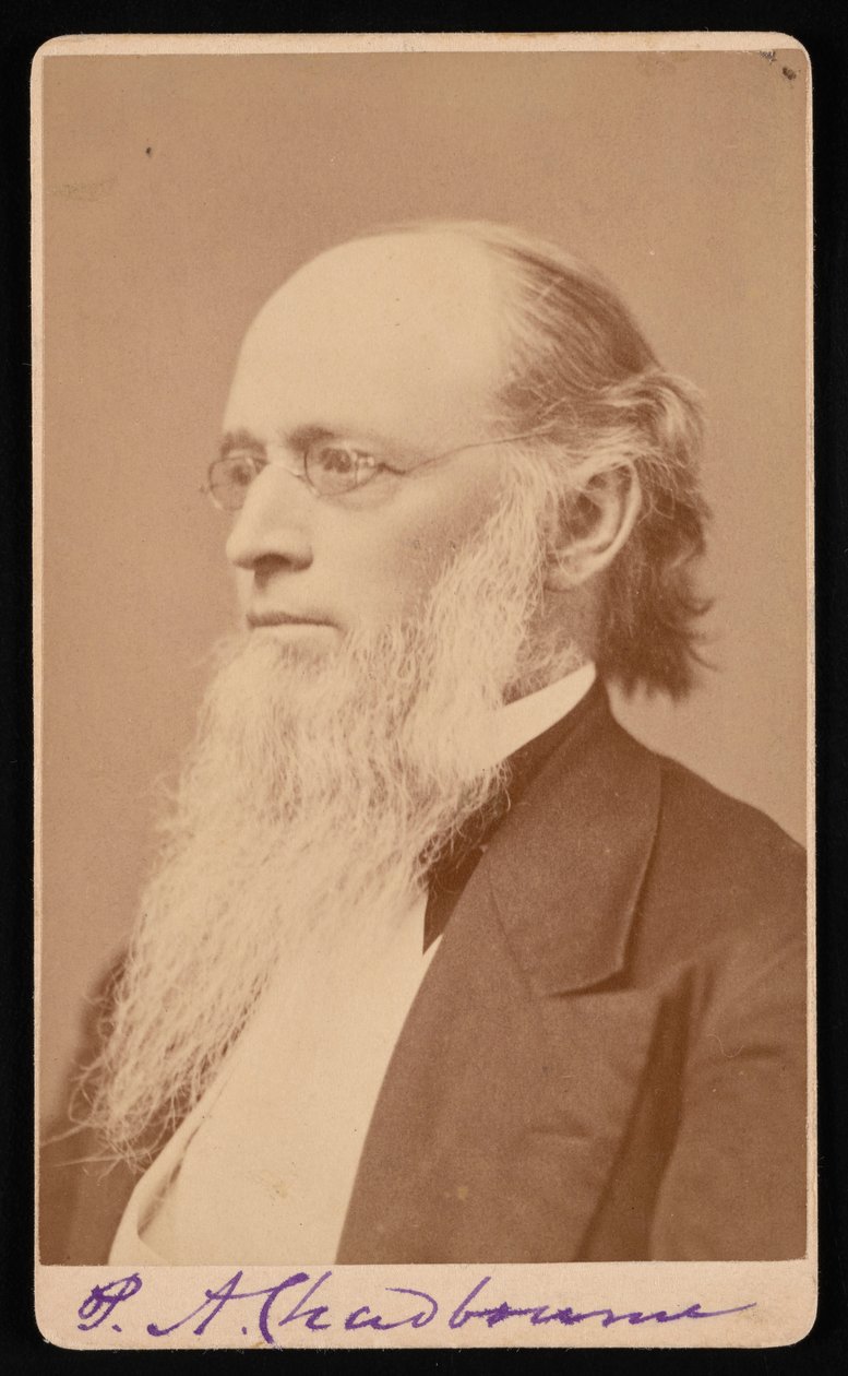 Paul Ansel Chadbournen muotokuva 1823-1883, 1872-1875. tekijältä John Lyman Lovell