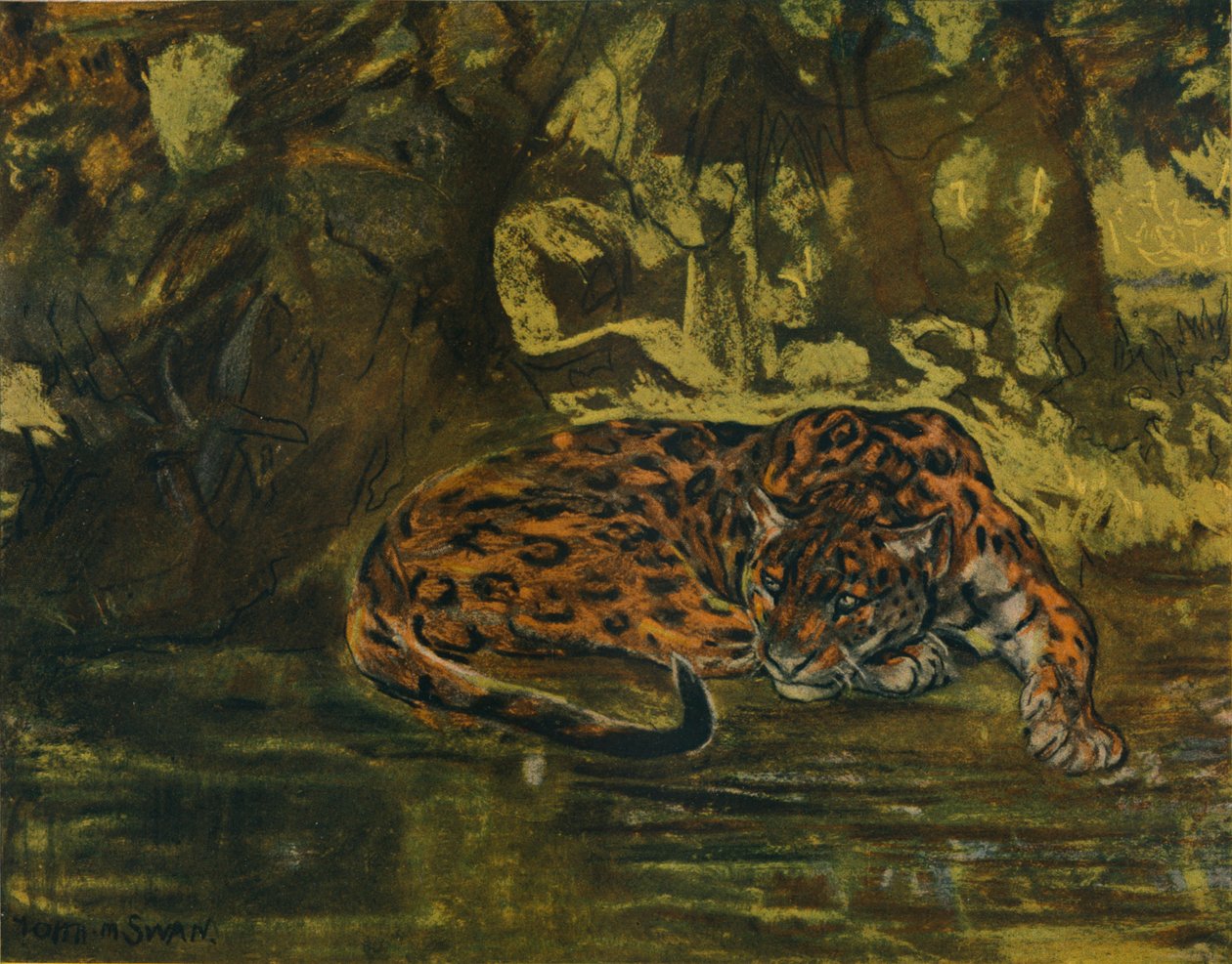 Jaguar, c1900 tekijältä John Macallan Swan