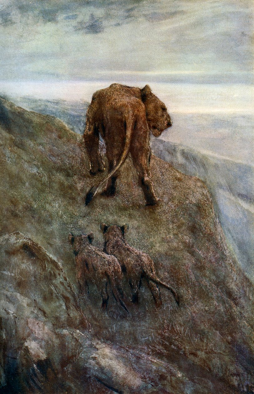 Valvomassa - Lioness and Cubs, c1878-1910, 1912. tekijältä John Macallan Swan
