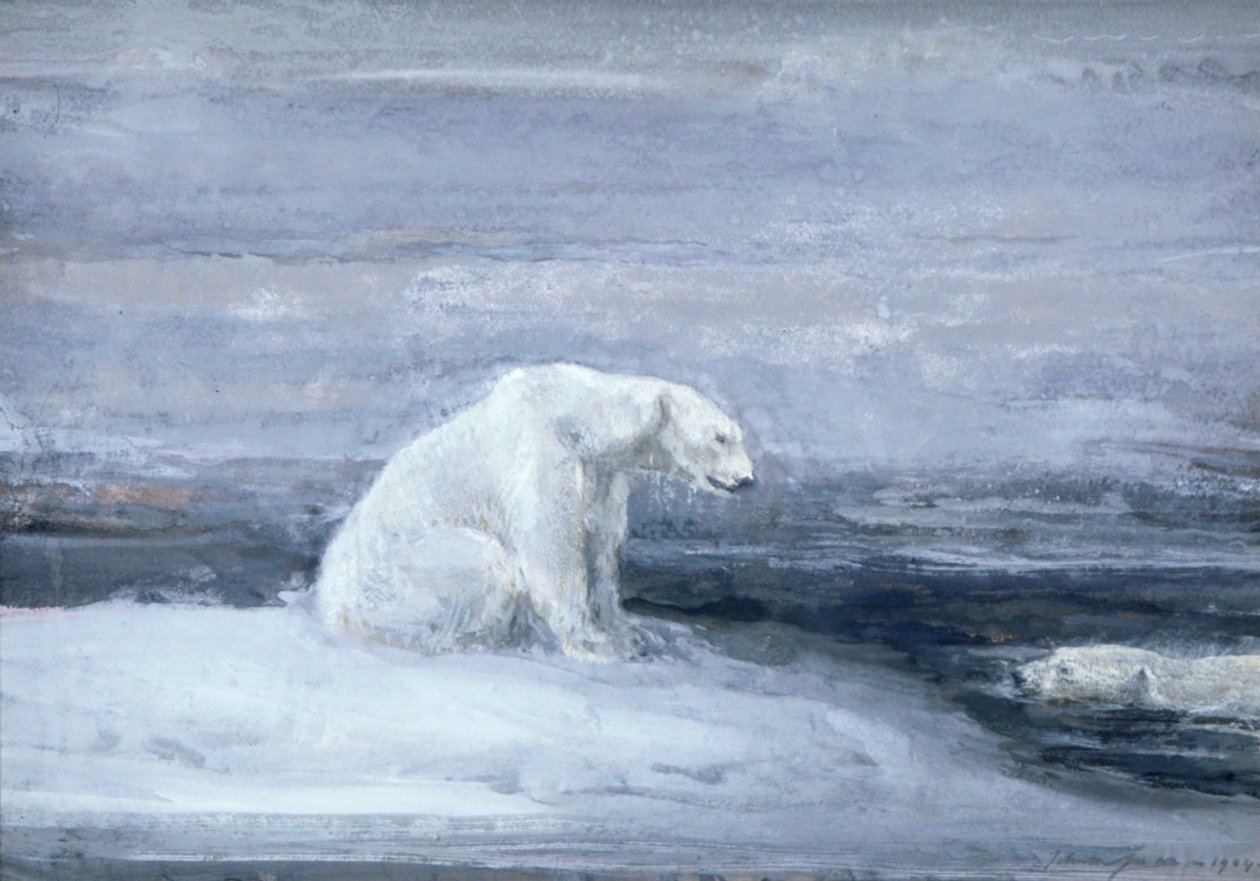 "Jääkarhut etsivät hylkeitä jääreiässä", c1867-1910 tekijältä John Macallan Swan