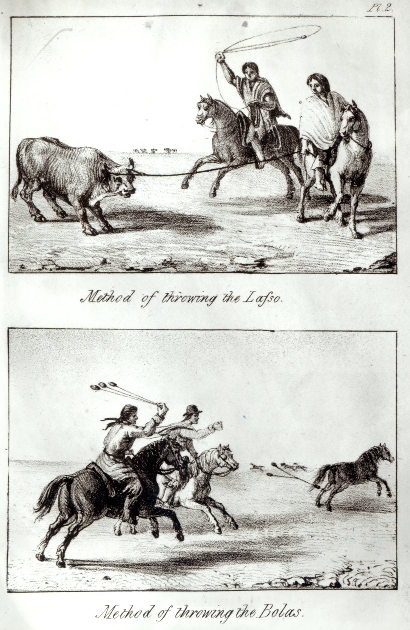 Methods of the Lasso and Bolas, John Miersin "Travels in Chile and La Plata", 1826 (litho) (bw photo) tekijältä John Miers