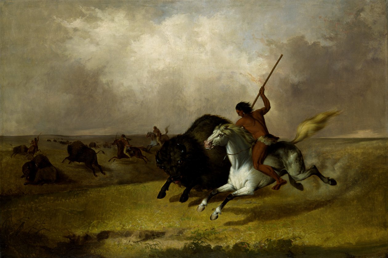 Buffalo Hunt Southwestern Prairies, 1845. tekijältä John Mix Stanley