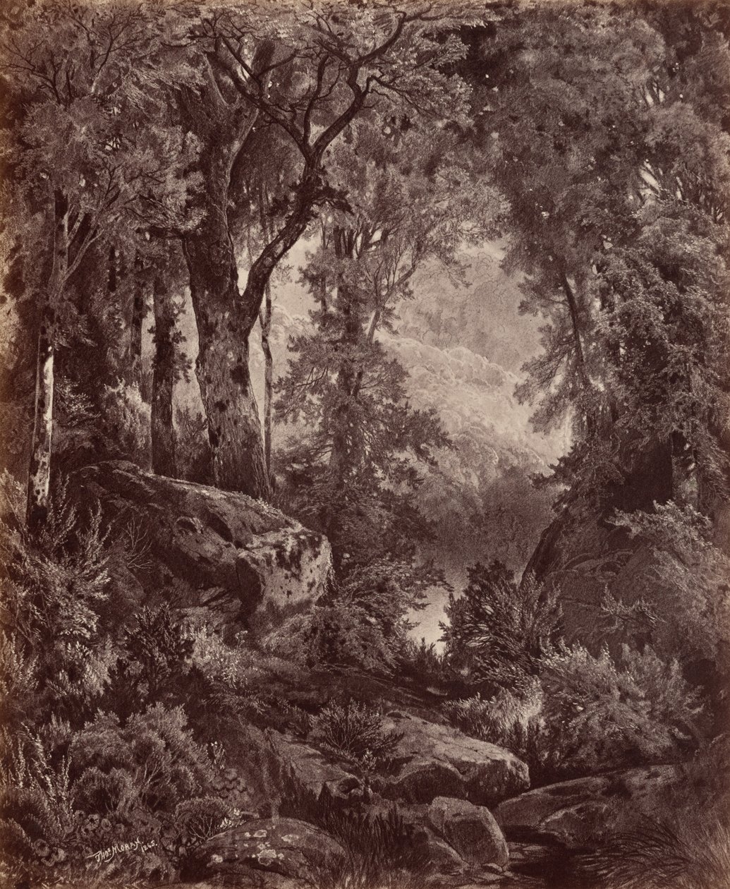 Solitude,1865 (kuva) tekijältä John Moran
