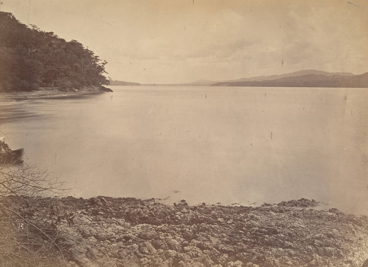 Trooppinen maisema, Darien Harbour – Etelään katsova, 1871. tekijältä John Moran