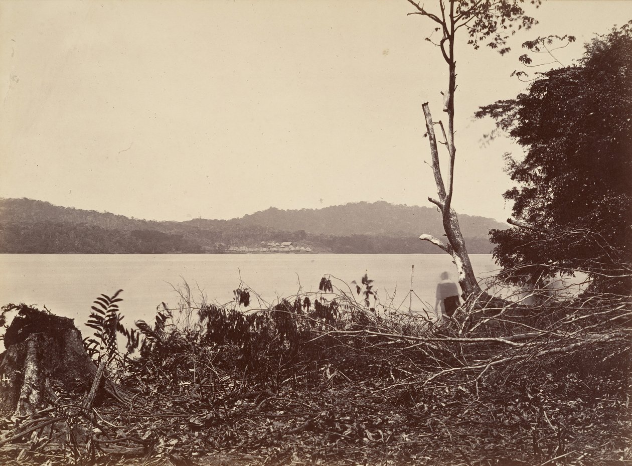 Trooppinen maisema, Darien Harbor, Chipigana, 1871. tekijältä John Moran