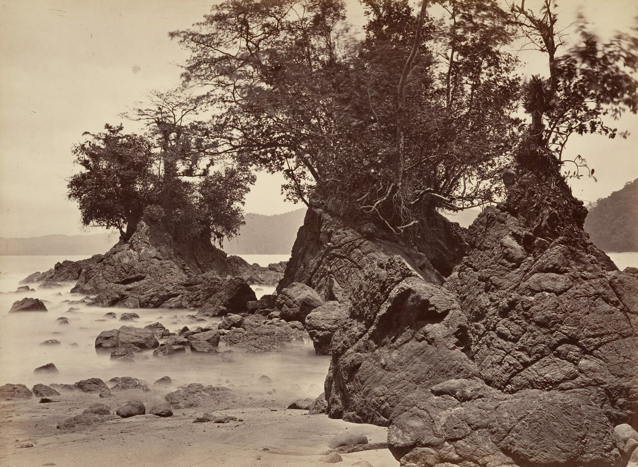 Trooppinen maisema, Limon Bay - laskuvesi, 1871. tekijältä John Moran