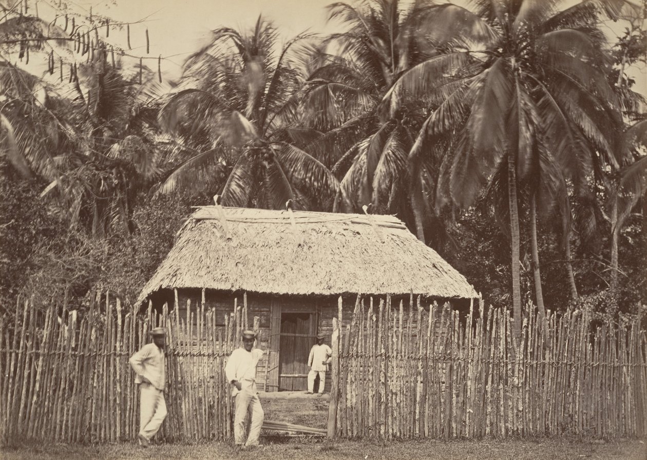 Trooppinen maisema, Native Hut, Turbo, 1871. tekijältä John Moran