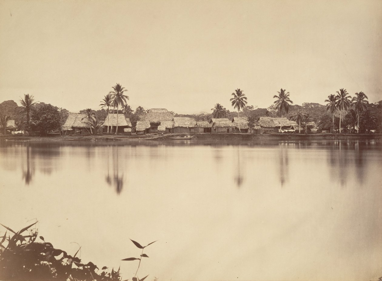 Trooppinen maisema, Santa Maria del Real, Darien, 1871. tekijältä John Moran